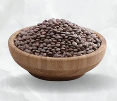 Masoor