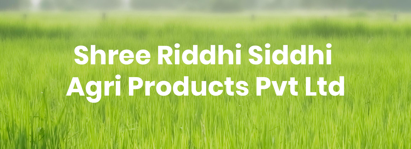 Siddigold Rice Supplier of high-quality row rice in Bettiah, Paschim Champaran | Shree ...